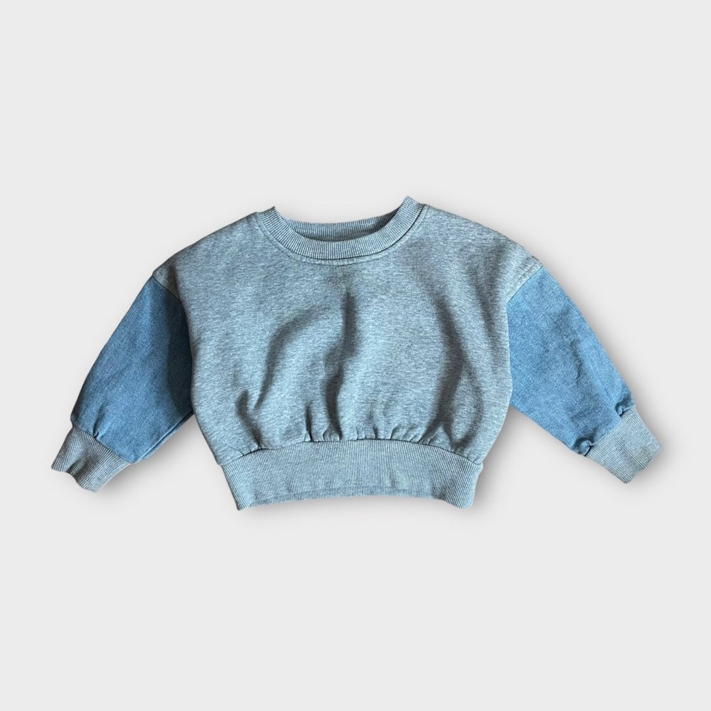 Stem Denim Sleeve Raglan Gray Sweater